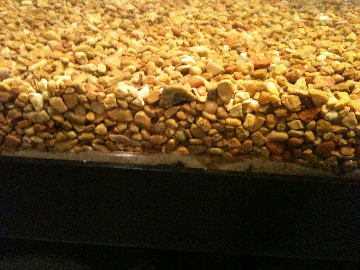 How to add new layers of substrate to active tank Aquarium Forum